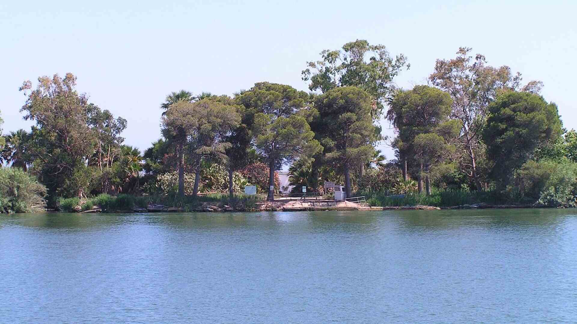 ¿Sabes qué es el arroz de la isla de Buda? El secreto de los mejores paelleros catalanes