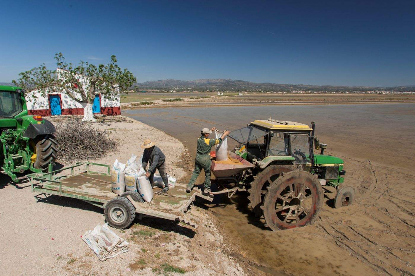 L'últim bastió natural del Delta viu sota amenaça constant: així afecta el canvi climàtic l'arròs que menges