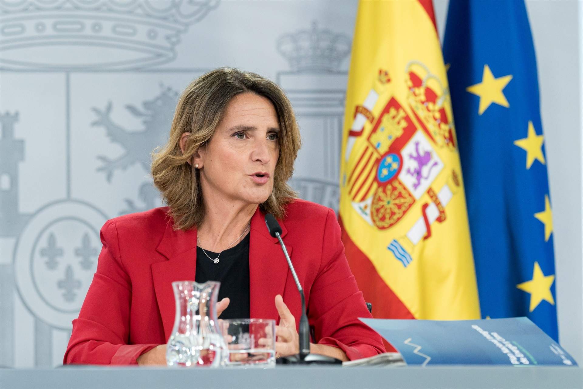 Teresa Ribera replica les crítiques del PP: "Em va costar fins a quatre trucades localitzar Mazón"