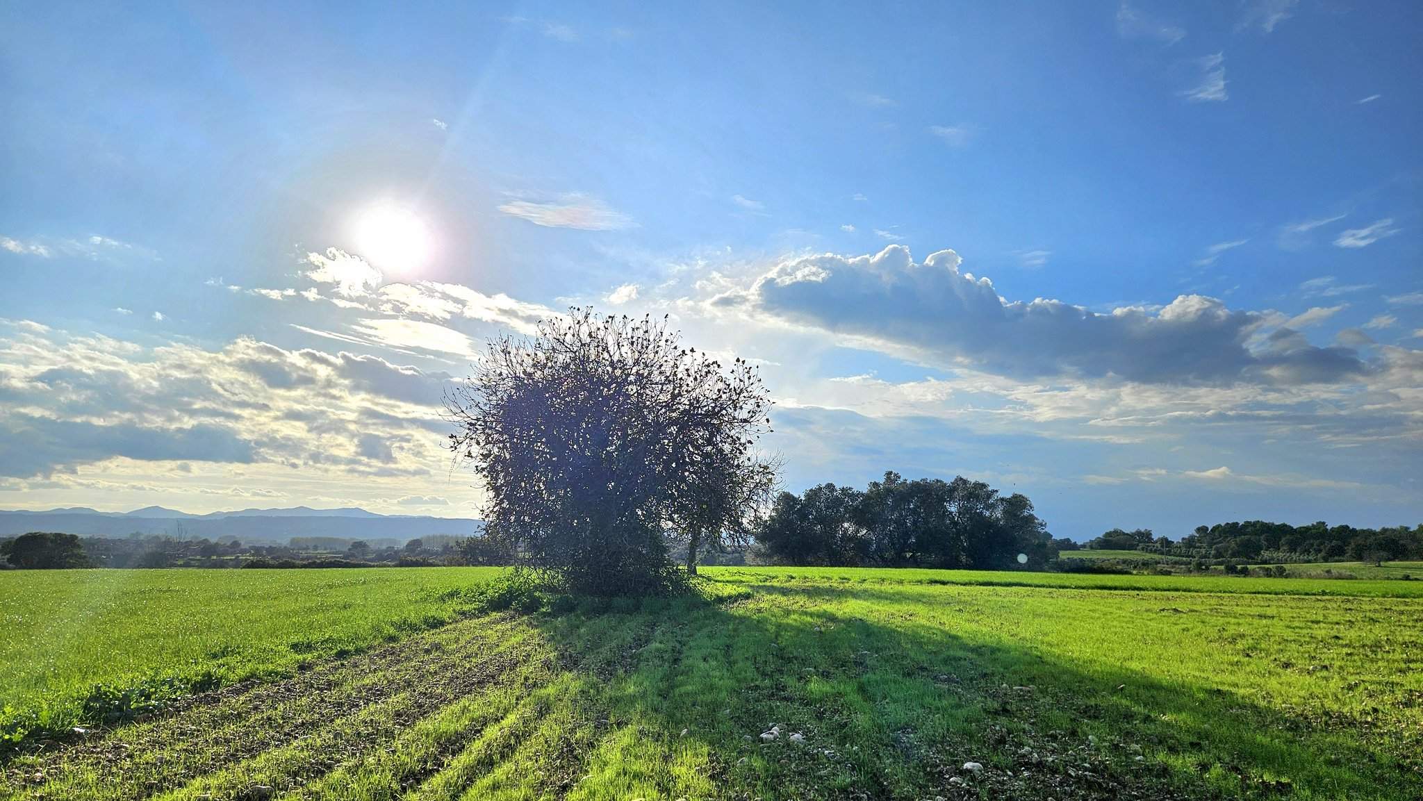 Cap de setmana insegur a l’espera d’un nou temporal marítim i de pluges a Catalunya