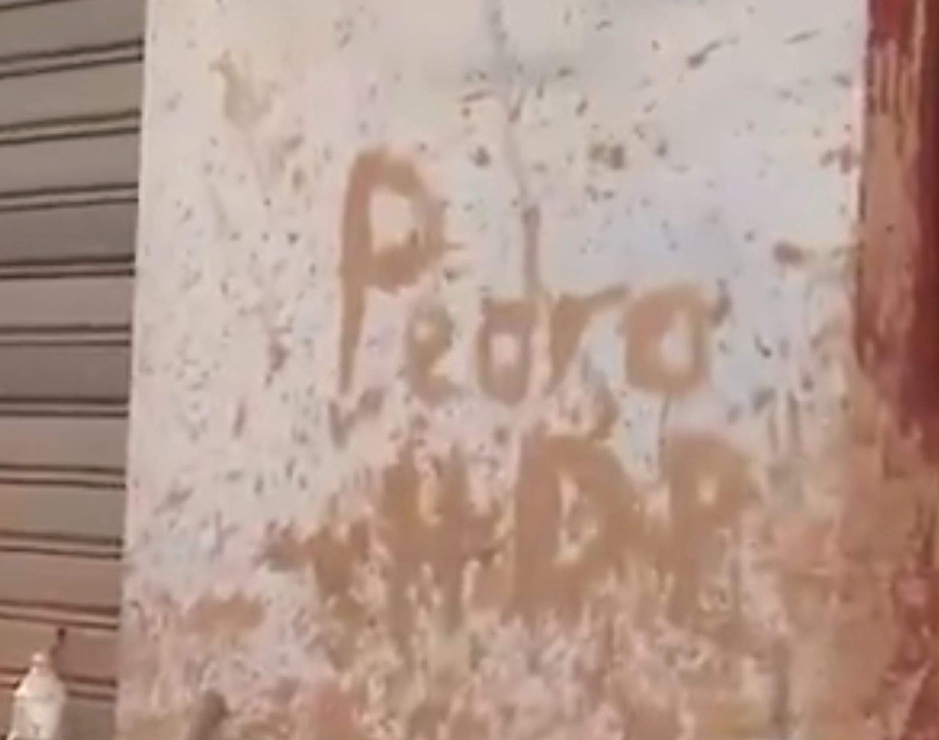 Bronca en directo a la reportera que confunde "Pedro HDP" en una pared de Massanassa con un DEP