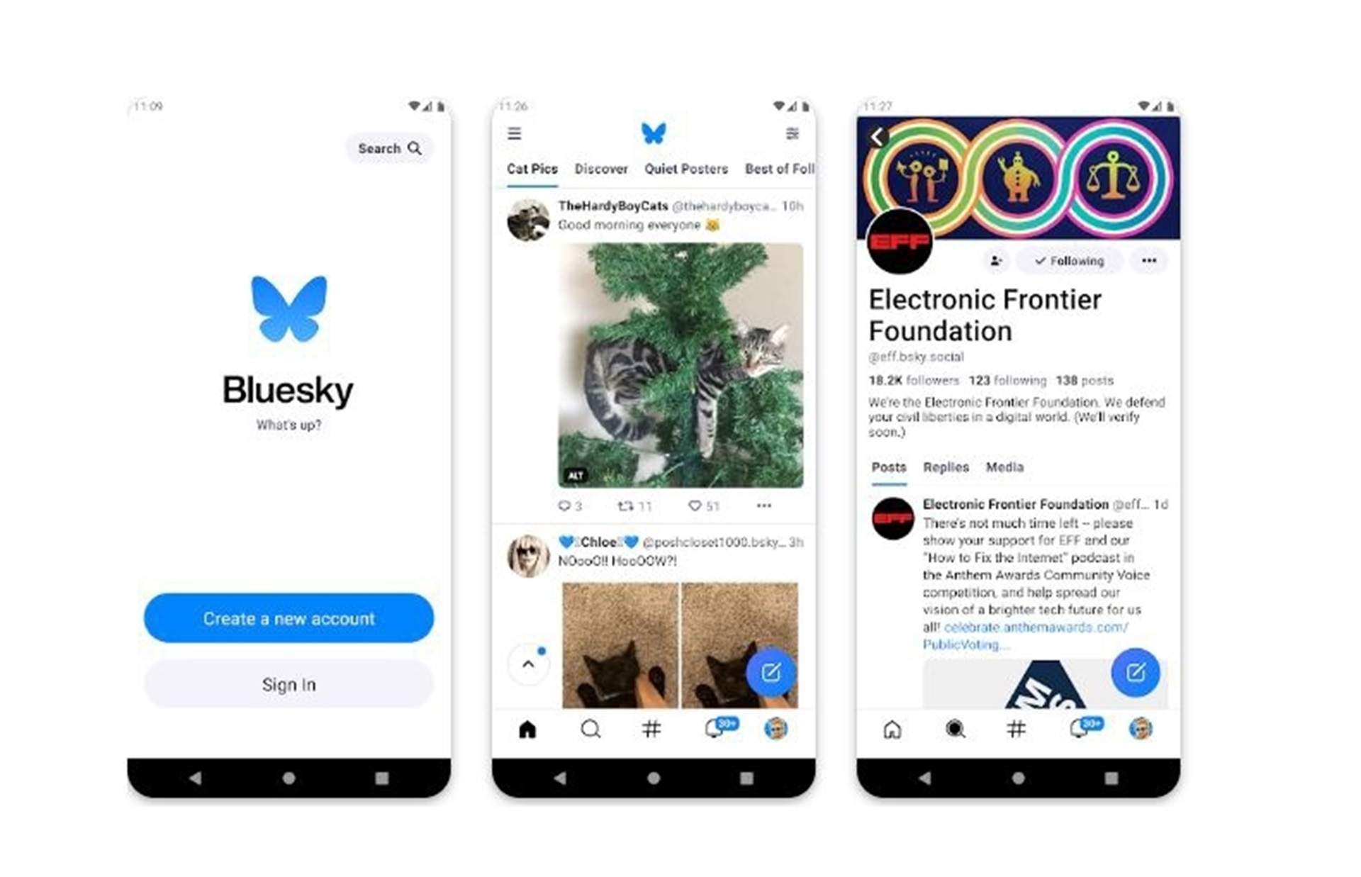 Bluesky social: qué es y por qué esta red empieza a competir con X