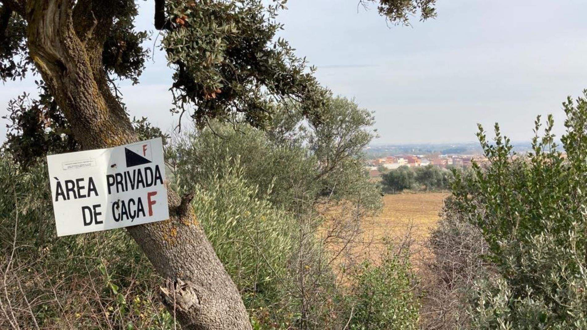 Vilafant prohibeix la caça a tot el terme municipal, tot i les reticències de pagesos i caçadors