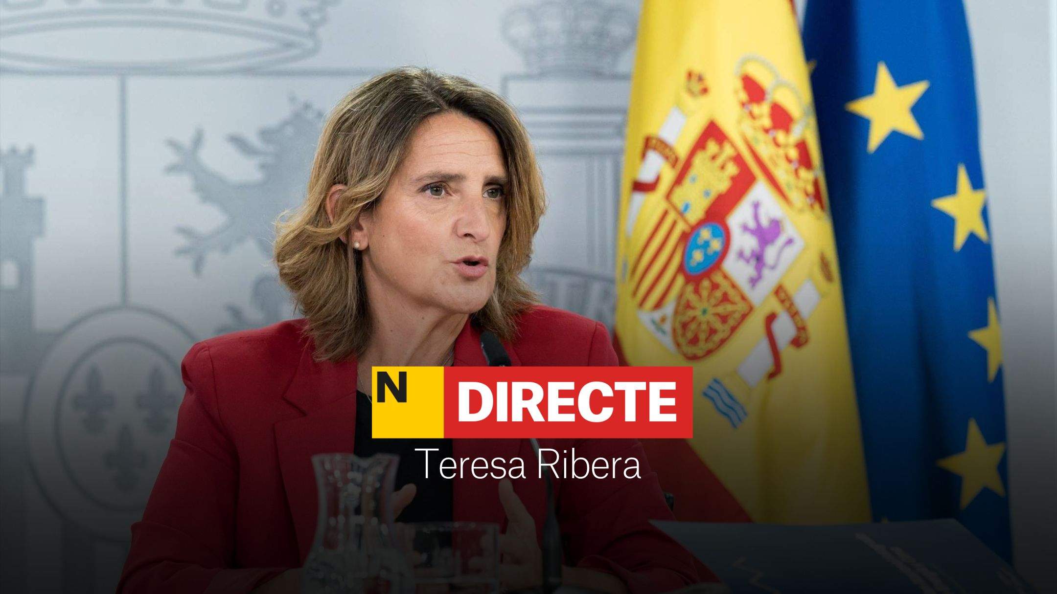 Teresa Ribera compareix al Congrés per la gestió de la DANA, DIRECTE