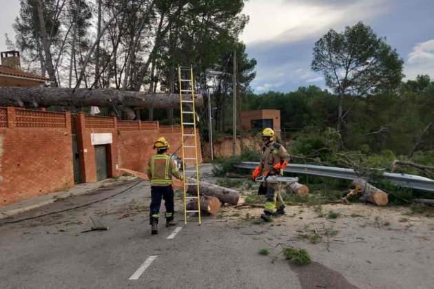 arbre caigut masquefa bombers