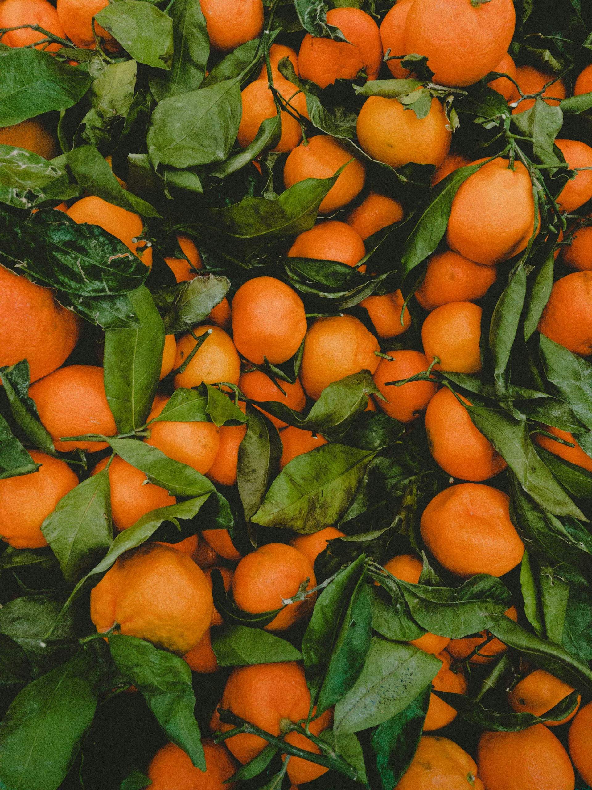 Mandarines o taronges: en què es diferencien i quina et convé més?