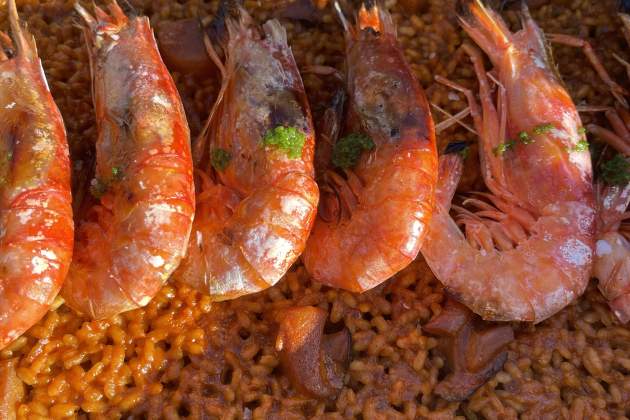 Arroz de sepia y gamba roja / A.S.I.