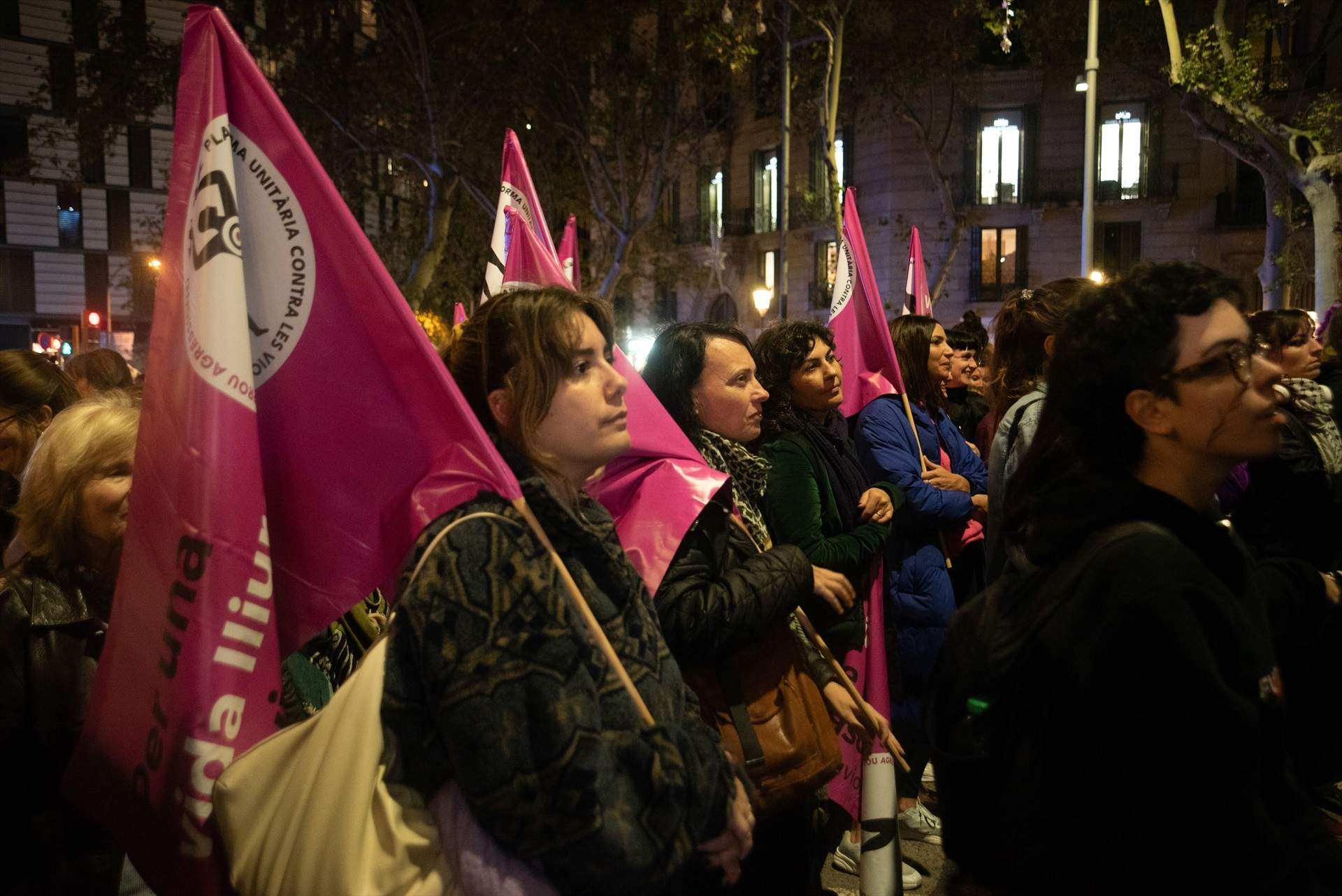 Clam feminista a Barcelona pel 25-N: "La vergonya i la por, per als agressors"