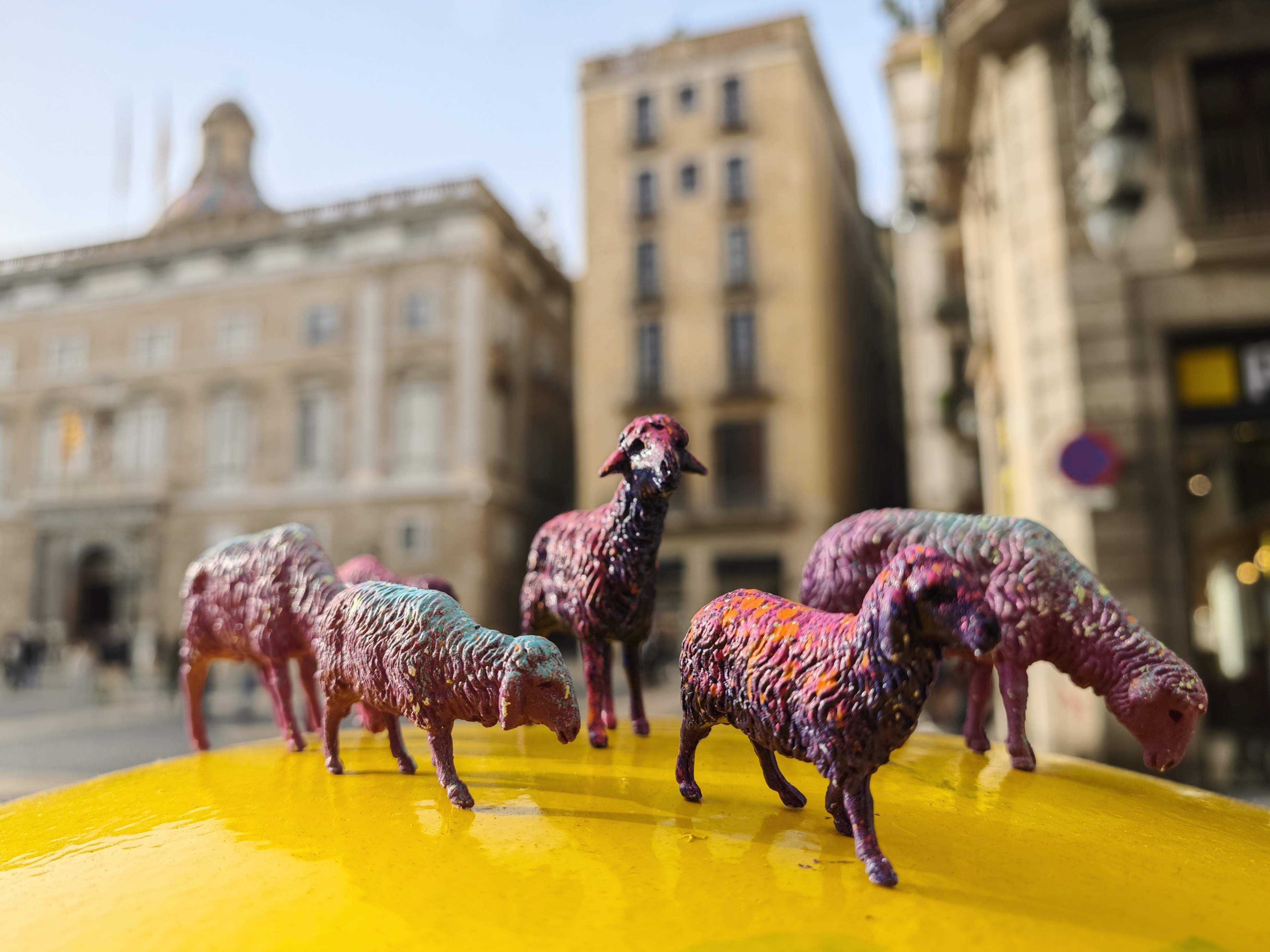 Ovejitas de colores repartidas por el Gòtic buscan el pesebre (inexistente) de Sant Jaume