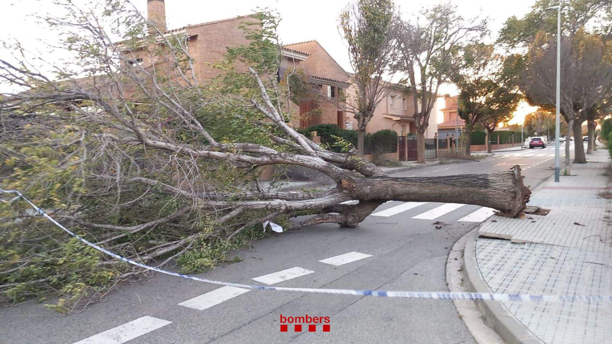 Alerta de Protecció Civil per ventades a bona part de Catalunya