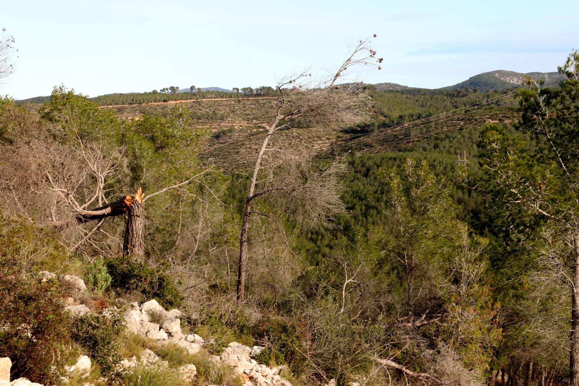 equera al Massís del Garraf (1)