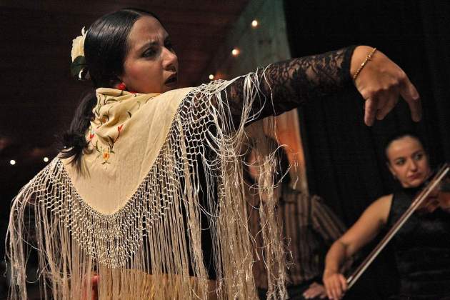 Bailaora de flamenco. Foto: Pixabay