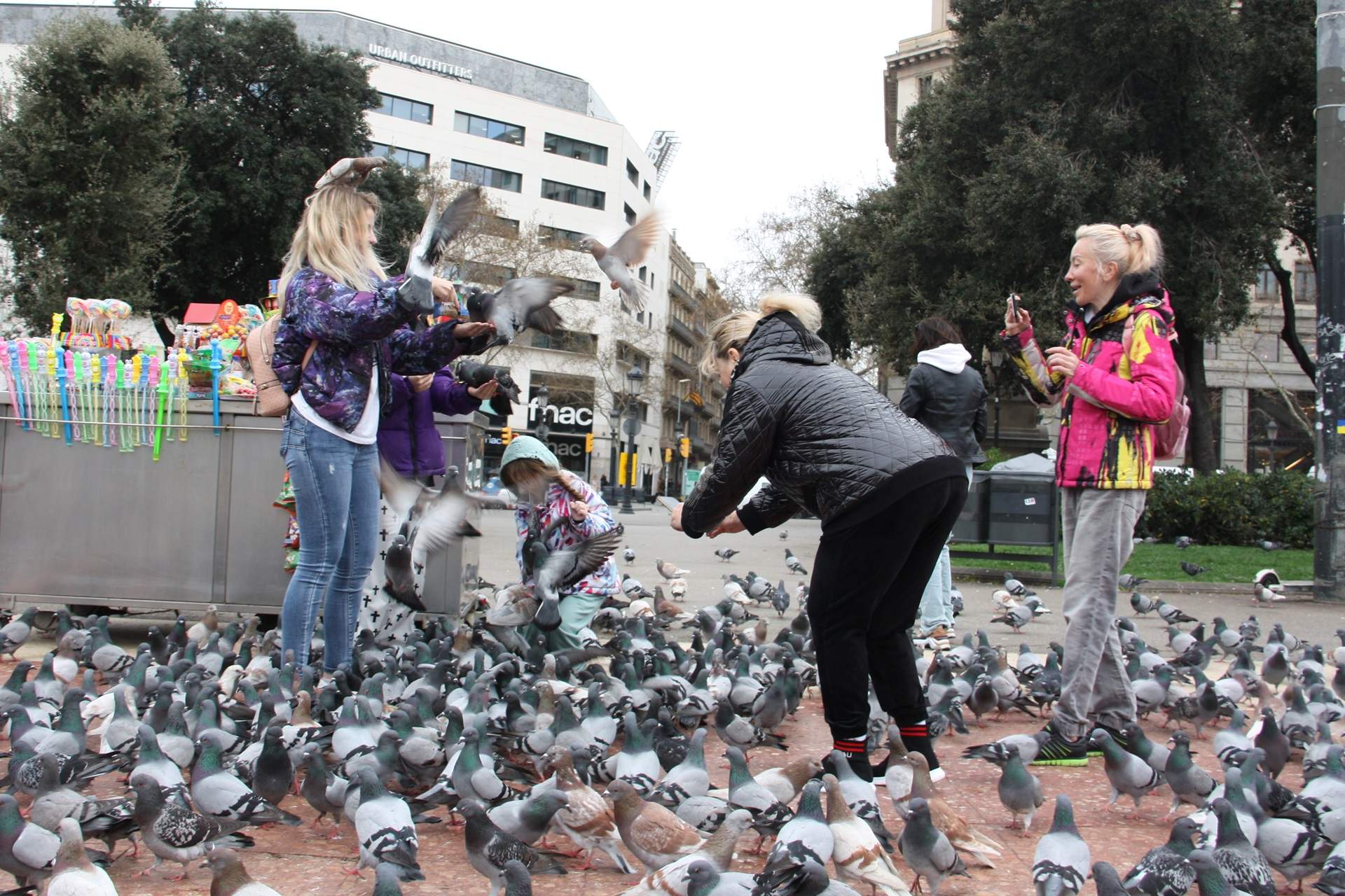 Barcelona té 236 grans alimentadors de coloms: activada una campanya per frenar aquesta pràctica