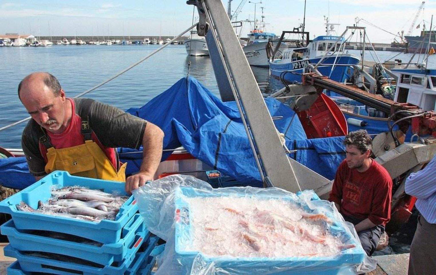 Los menús de fin de semana: los mejores platos de pescado para dar apoyo a los pescadores