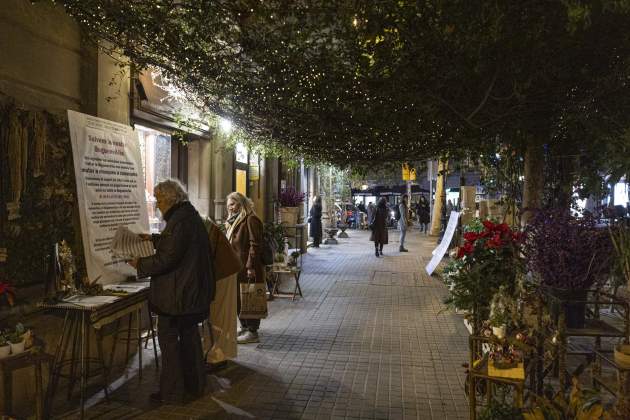 20241218 BUGUENVIL·LIA FLORISTERIA MARIA PONSA / Foto: Montse Giralt