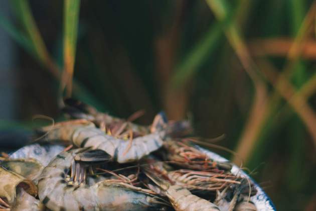 Debemos añadir sal gruesa al agua de cocción / Foto: Unsplash