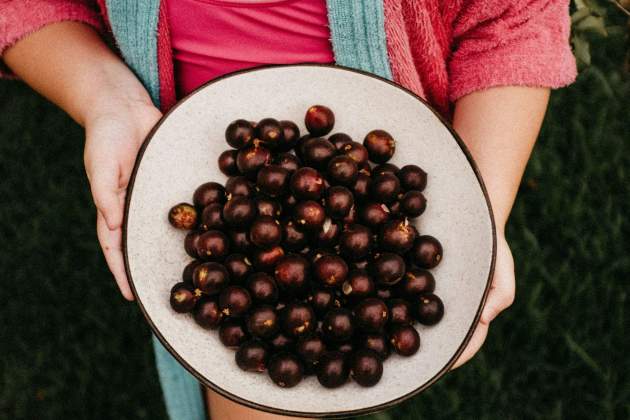 La jabuticaba és molt rica en antioxidants / Foto: Unsplash