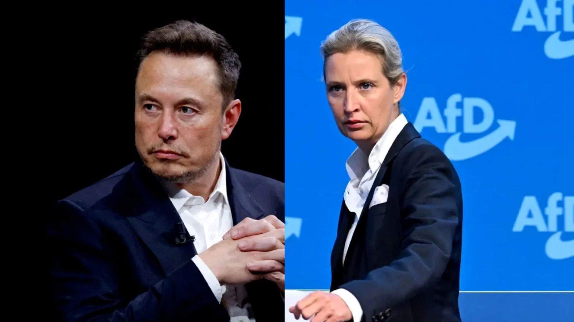 Musk impulsa a la líder ultra de la AfD, que dice que "Hitler era comunista"