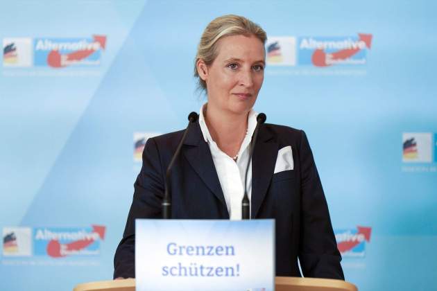 EuropaPress weidel