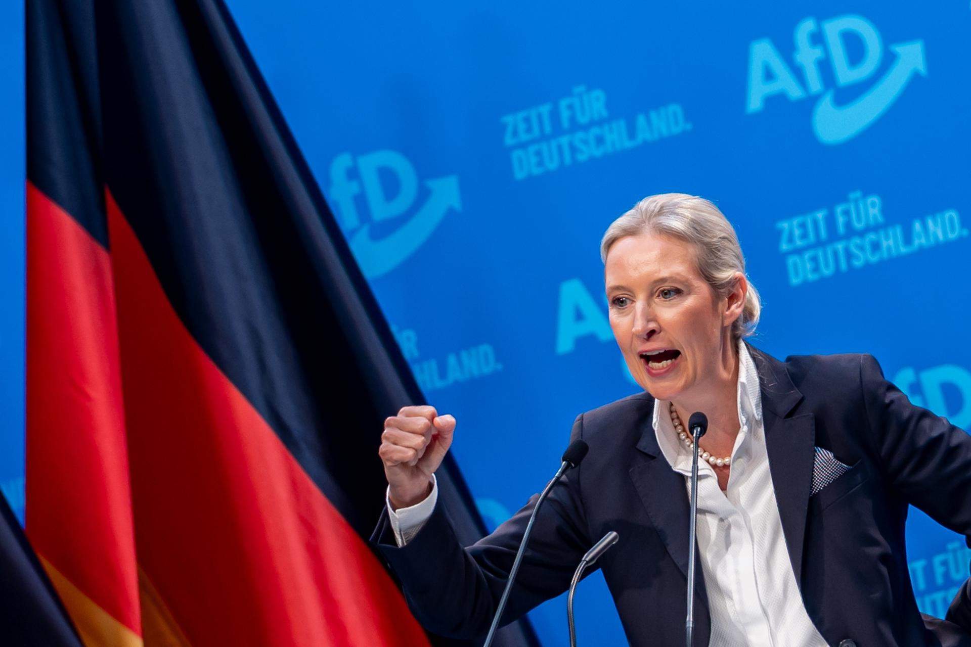 La ultraderecha alemana confirma a Alice Weidel, bendecida por Musk, como candidata de AfD