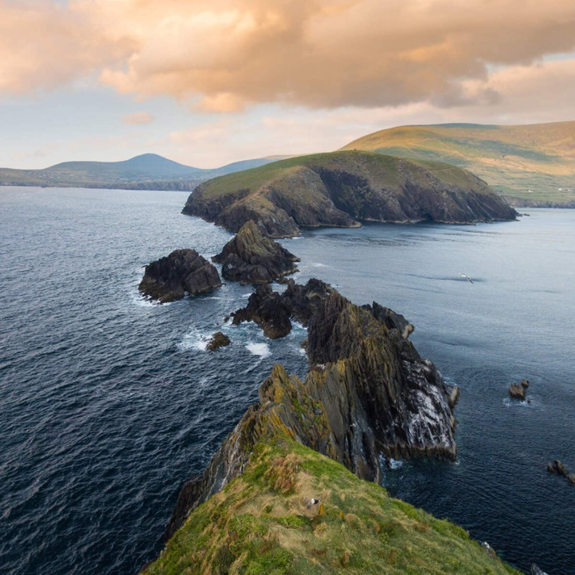 Dingle. Penya segats de Dun Chaoin. Font Oficina de Turisme del comtat de Kerry