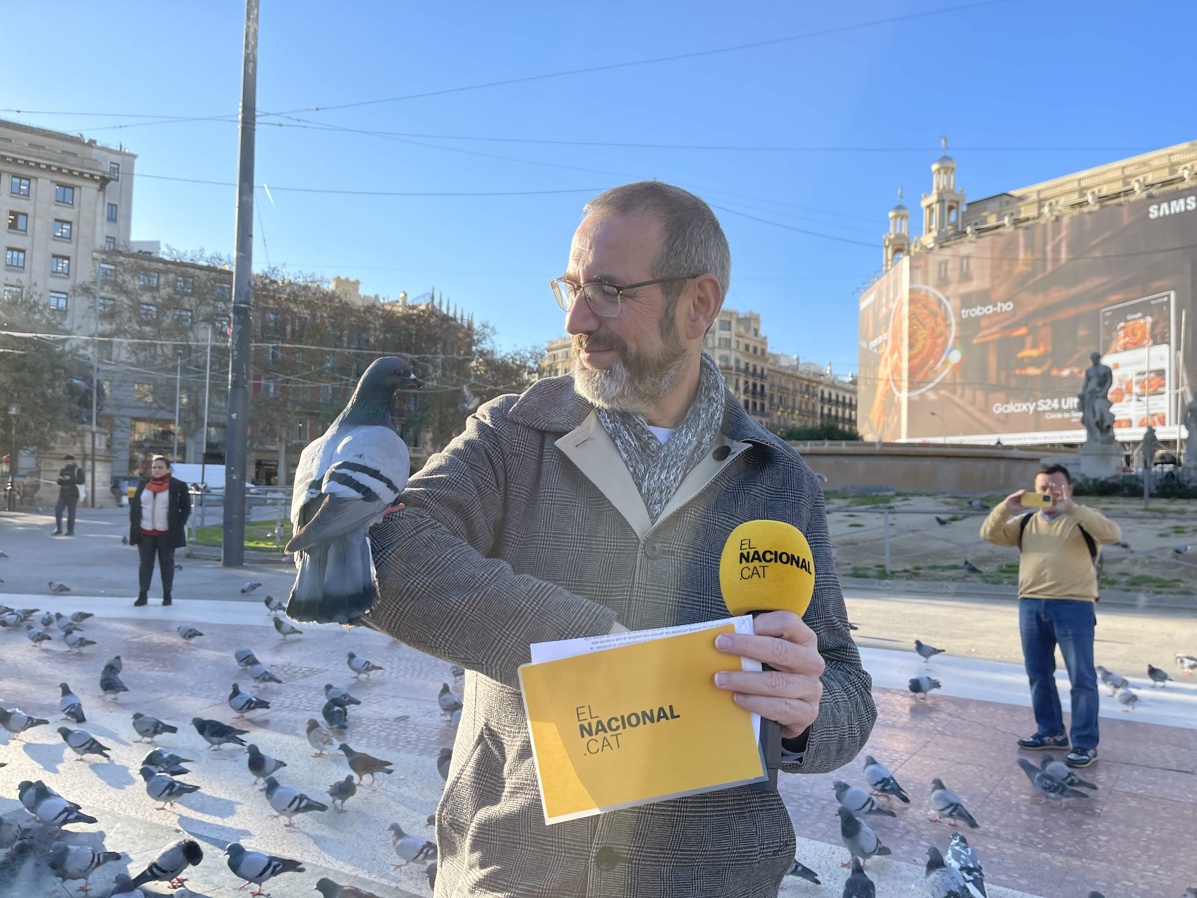 Cuatro razones de peso para no alimentar a las palomas de Barcelona