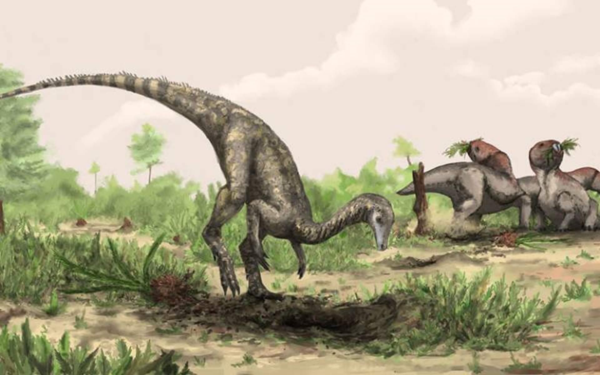 Nuevo giro en el origen de los dinosaurios: millones de años antes y aún hay fósiles en Sudamérica y África