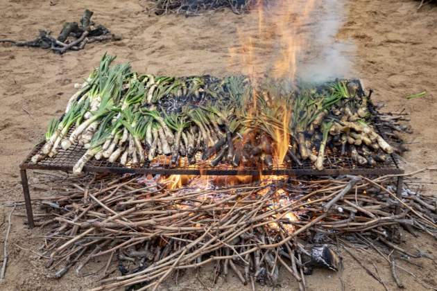 Calçots, una tradició catalana