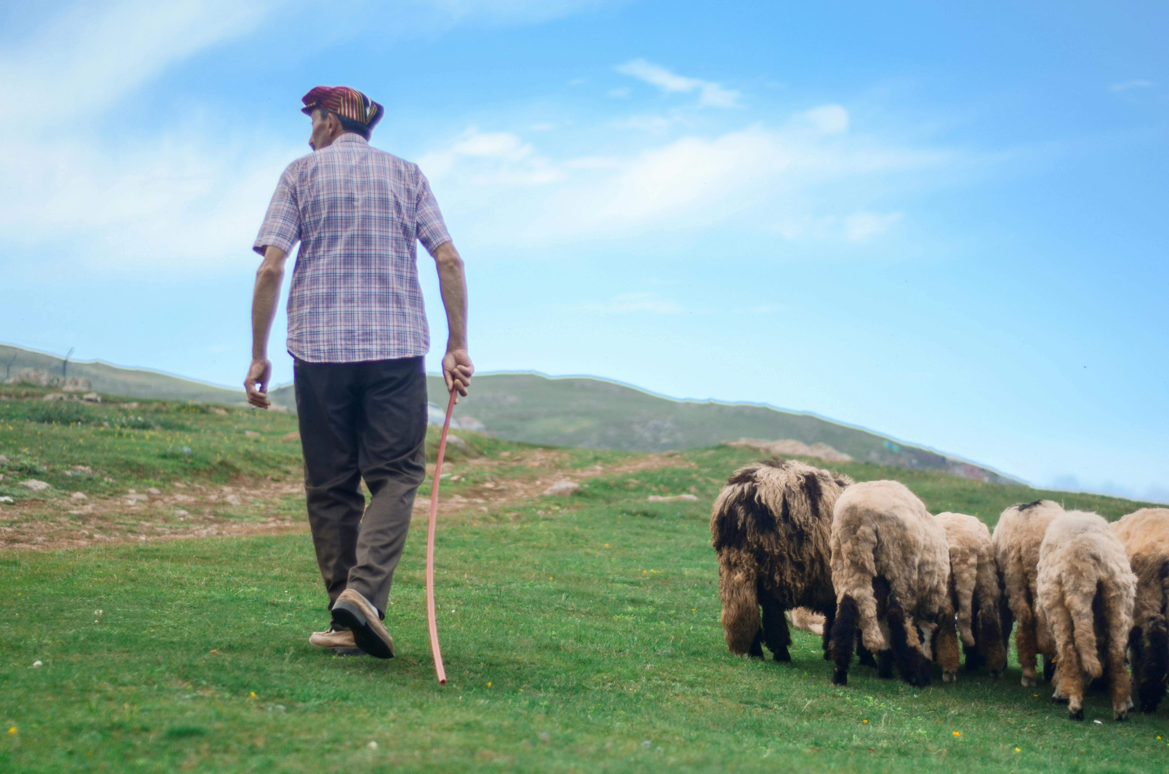 XII Cap de Setmana Ramader i Donada de Sal al Bestiar