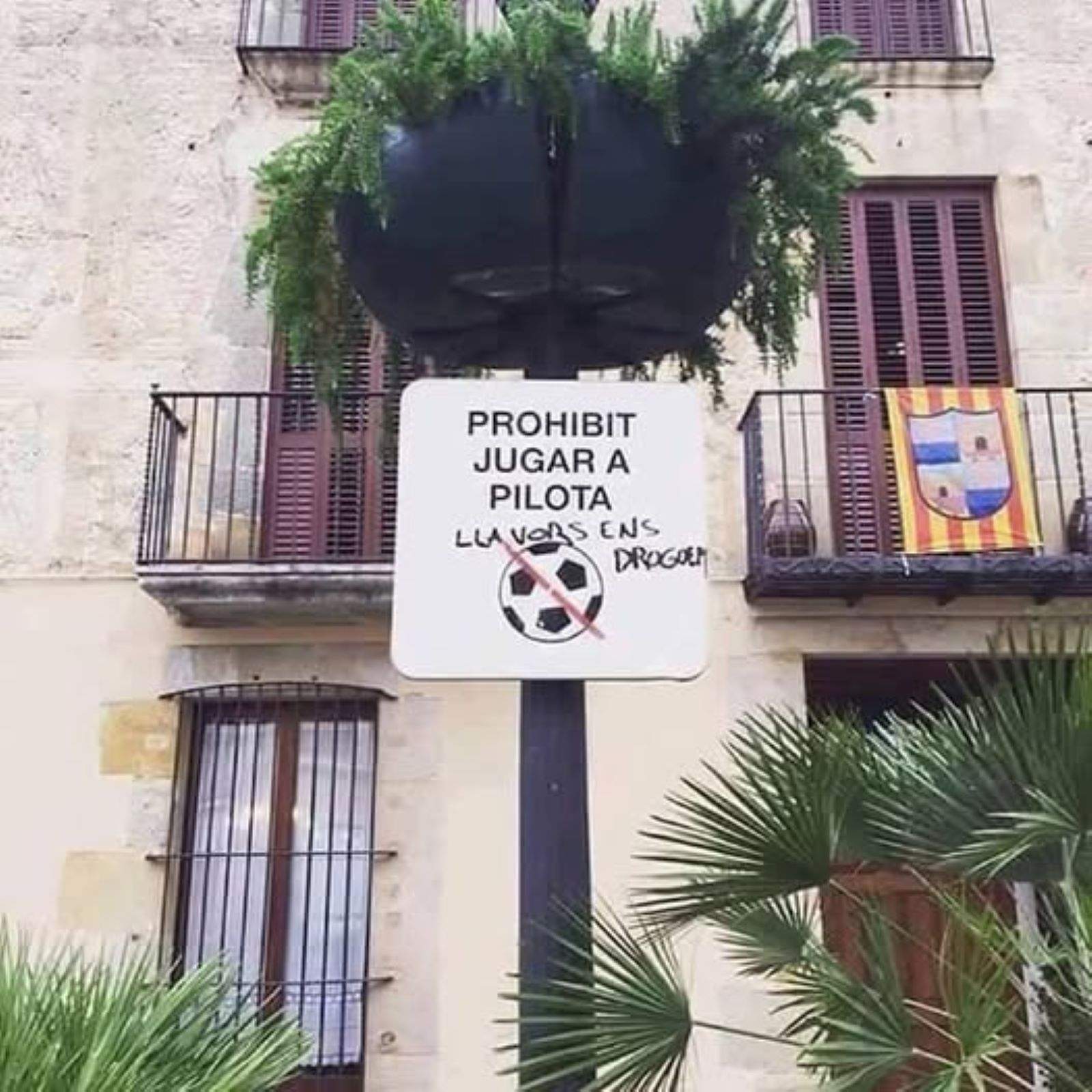 El síndic de Barcelona reclama treure de les places els cartells de "prohibit jugar a pilota"