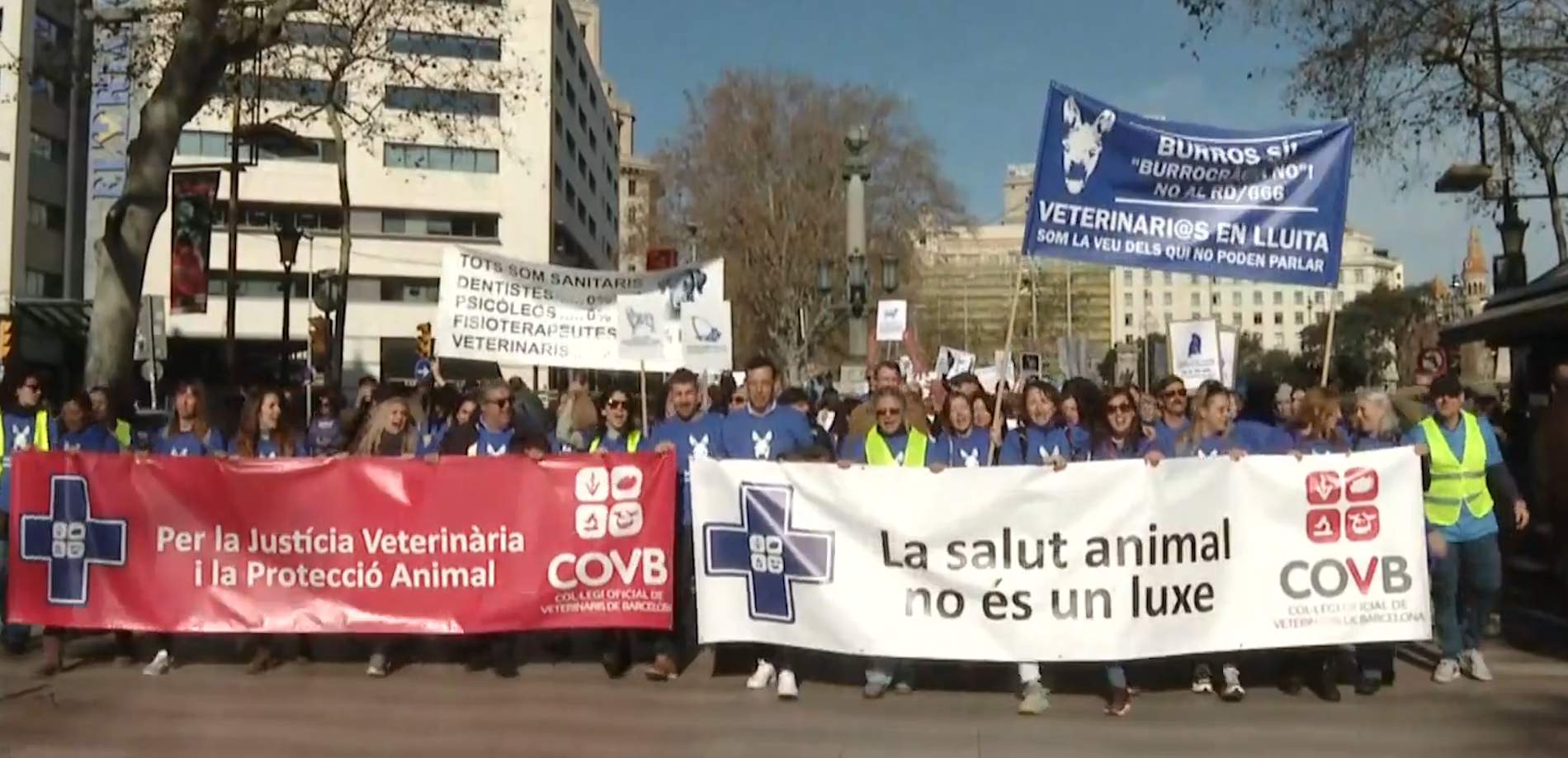 Capçalera de la manifestació dels veterinaris