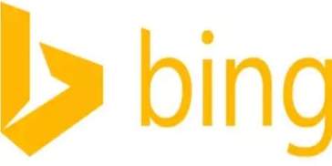 Bing