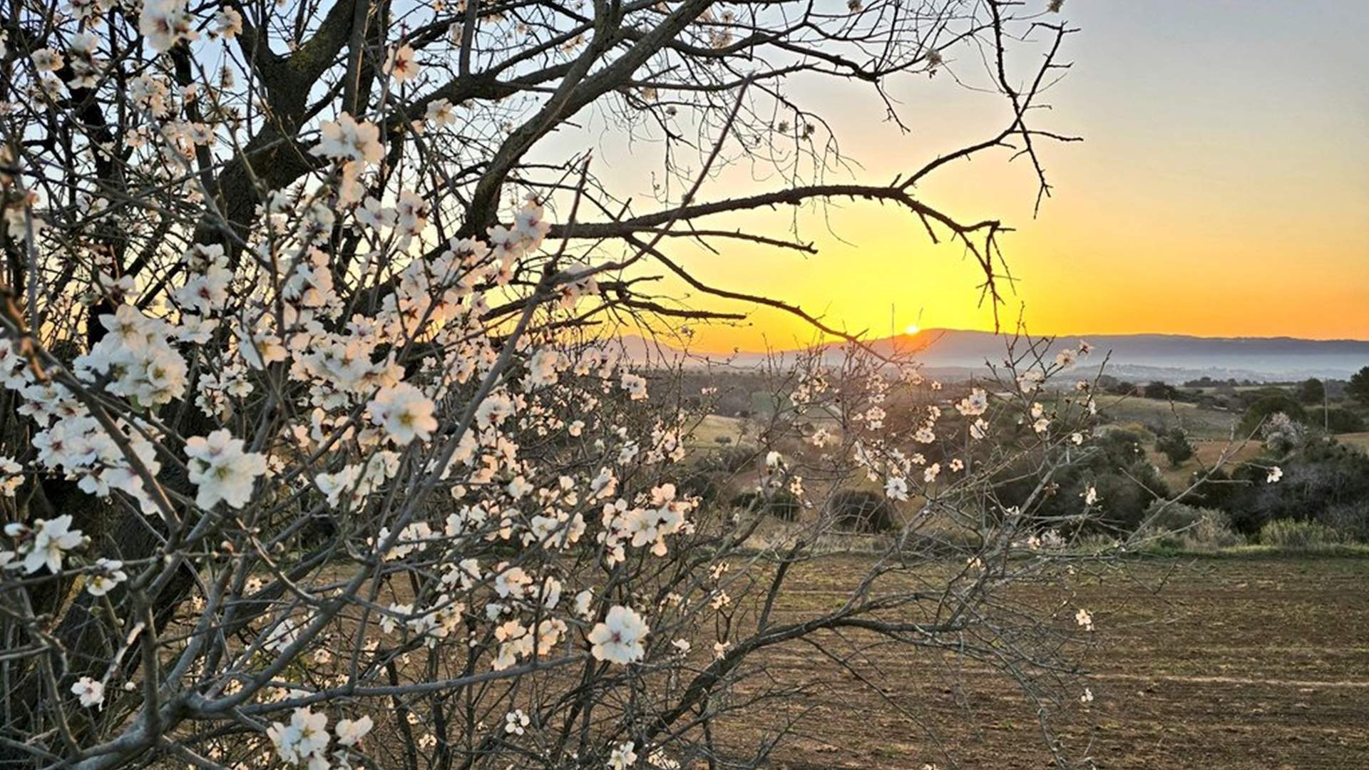 Cuenta atrás para un cambio radical de tiempo en Catalunya: el invierno enseñará los dientes