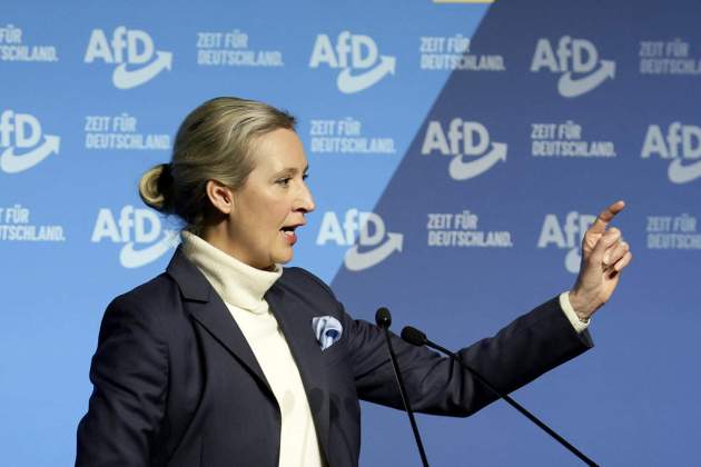 Alice Weidel  efe