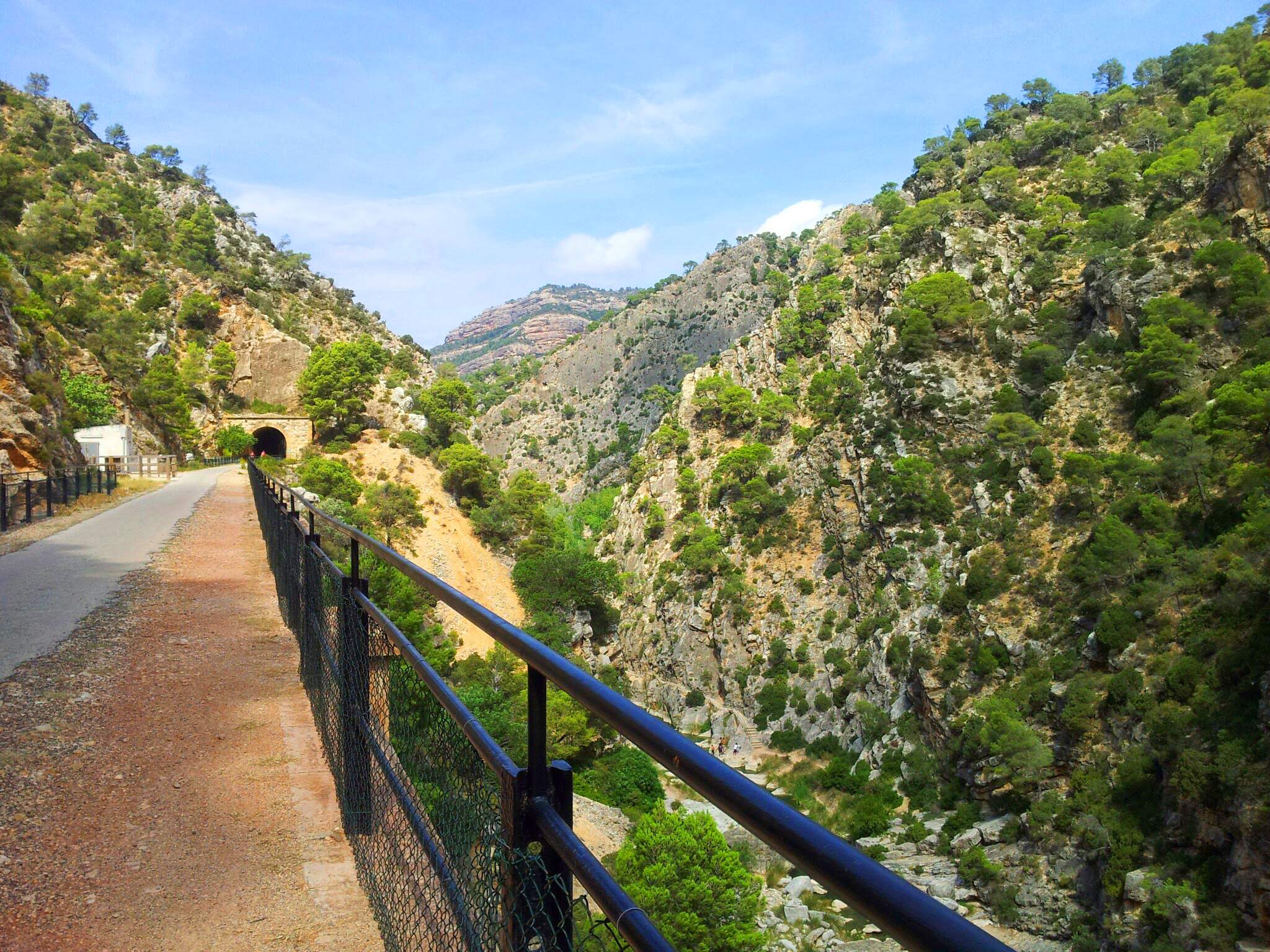 L'espectacular ruta a Catalunya que passa per una antiga via de tren: recorre túnels, ponts i aqüeductes