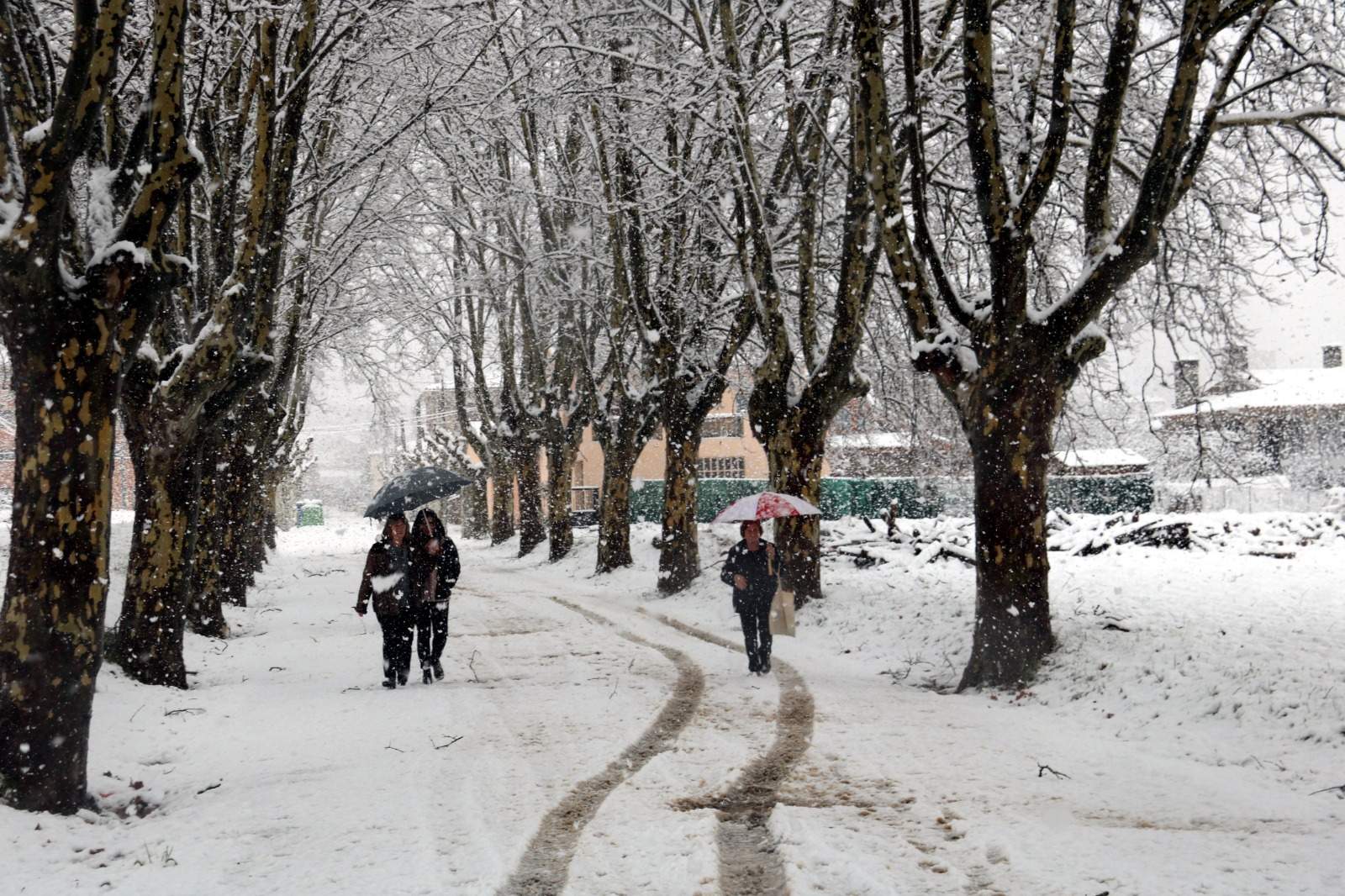 Bogeria meteorològica a Catalunya: sorpreses de neu a cotes baixes, episodi de pluges i fred