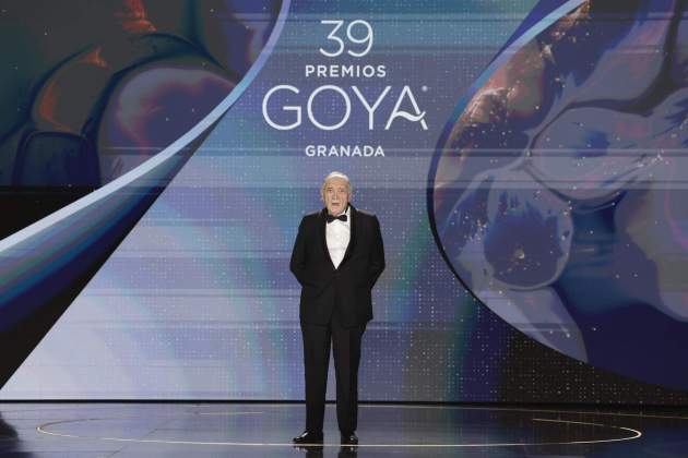 Fernando Méndez Leite goya 2025 president acadèmia / Foto: Efe