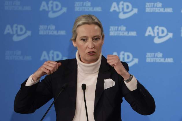 Alice Weidel  afd efe