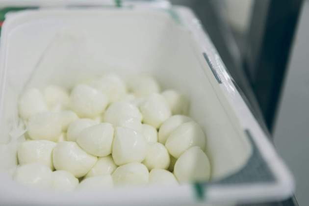 Mozzarella petita / Foto: Unsplash