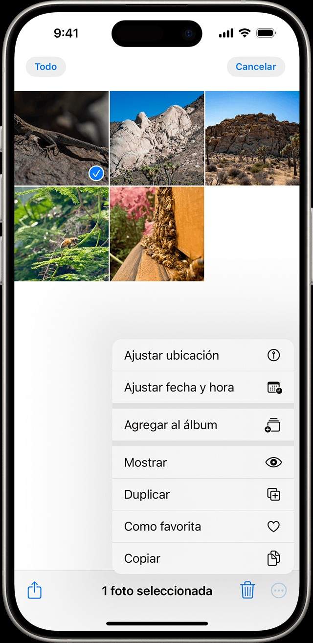 Com trobar les fotos ocultes que es tenen en els iPhone i iPad d'Apple