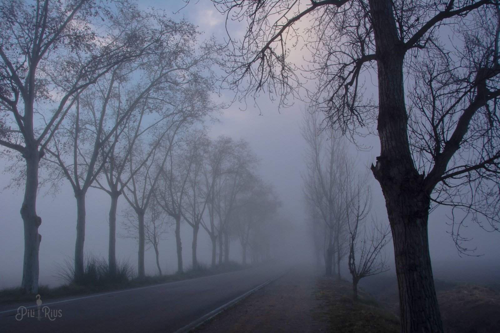 Catalunya dividida en dos: cielo gris, sol y temperaturas agradables