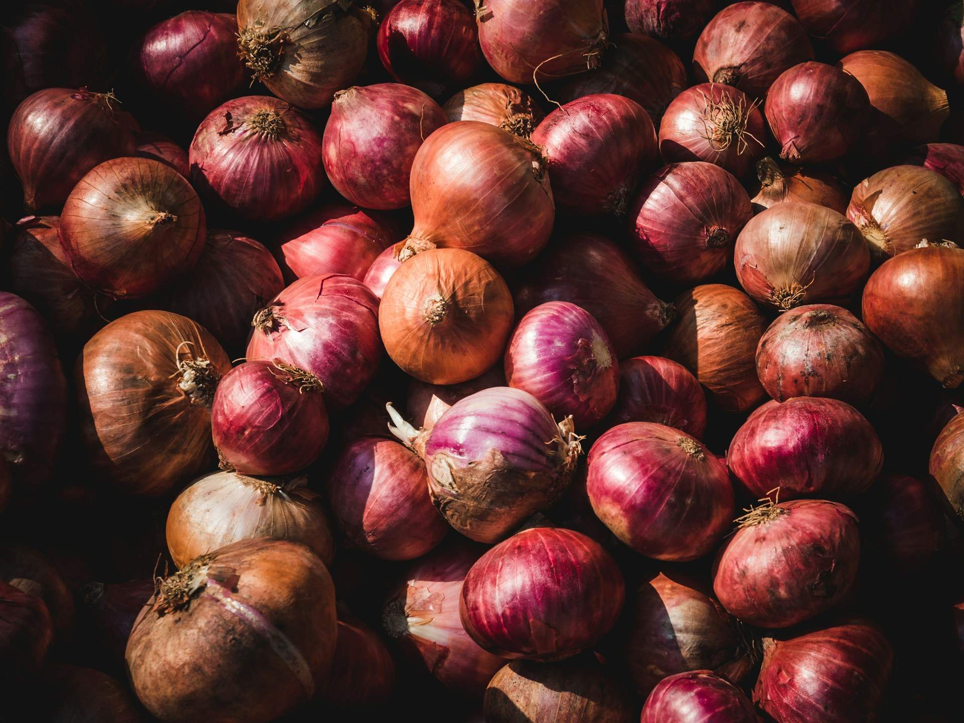 Ceba blanca o ceba morada: quina d'elles ajuda el teu intestí i és més antioxidant?