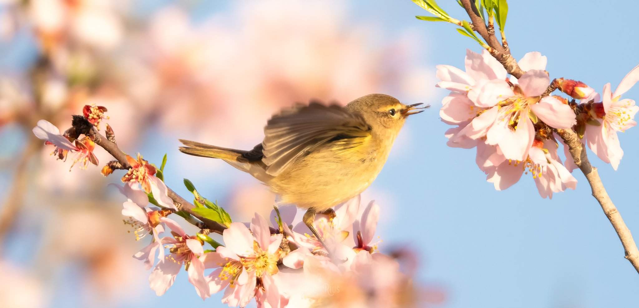 Del frío matinal, a la primavera por la tarde: llega el día más soleado de la semana a Catalunya