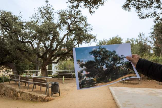 Parc monterols / Foto: Roser Gamonal