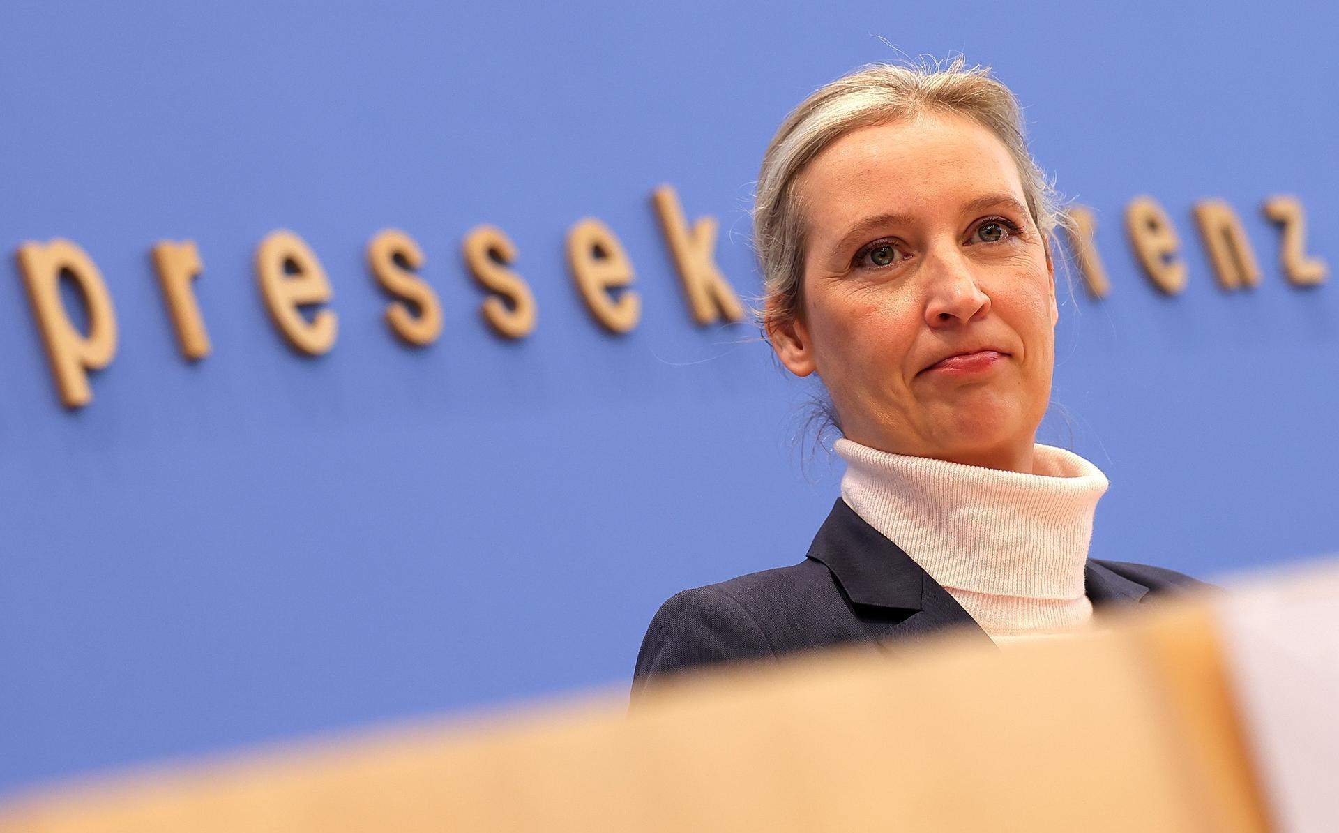 alice weidel afd efe