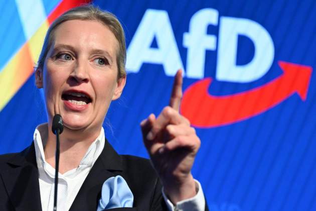 weidel nit electoral efe