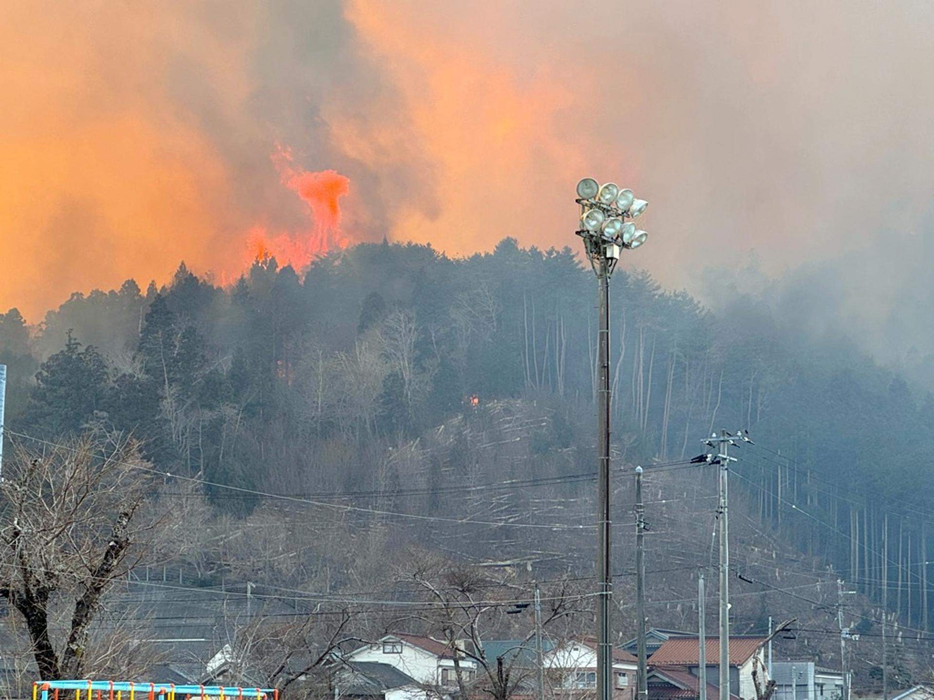 japo incendi forestal ofunato efe