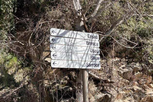 Municipi Bresca, al Pallars, vinyes i oliveres al Pirineu / Foto: Albert Villaró i Montse Ferrer