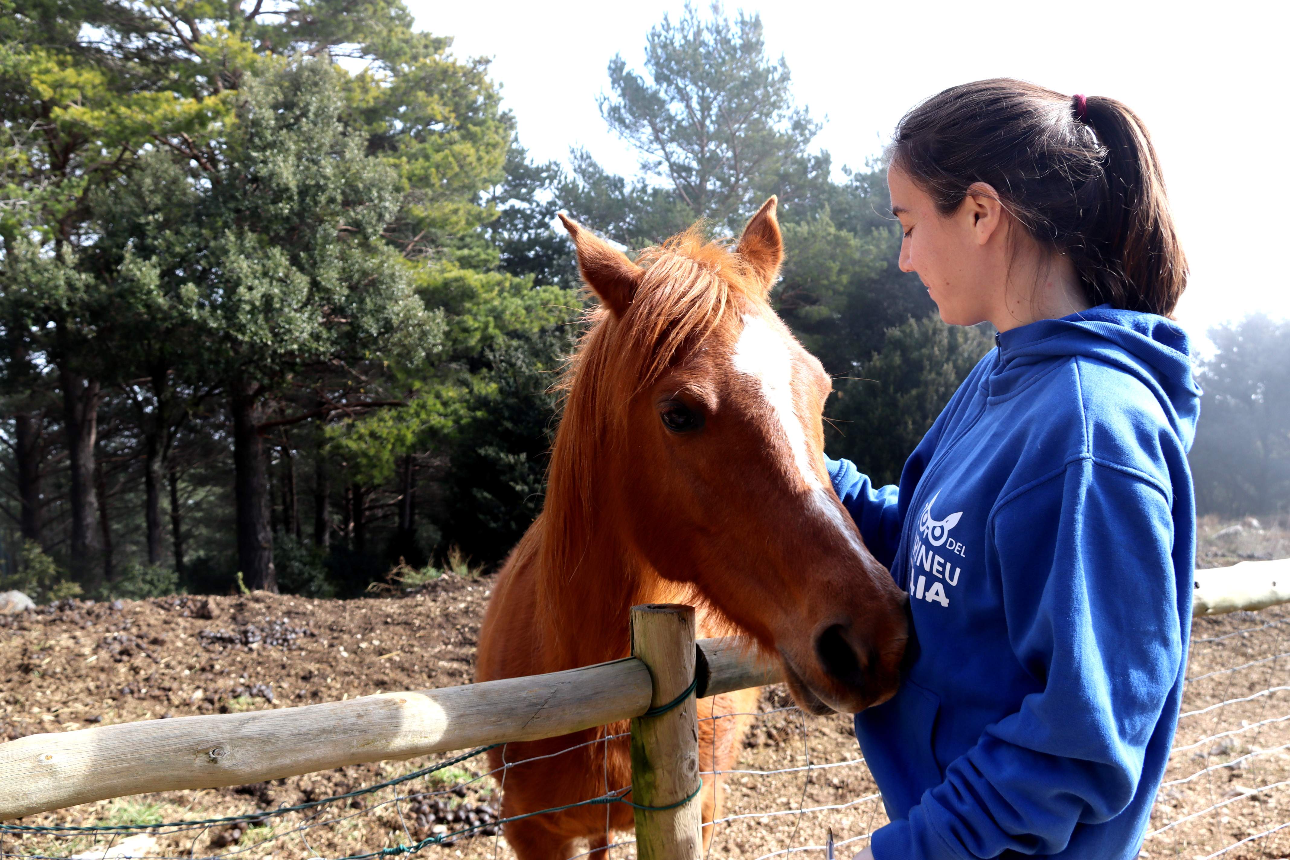 El Zoo del Pirineu, "al límite" de su capacidad después de rescatar 420 animales en el 2024