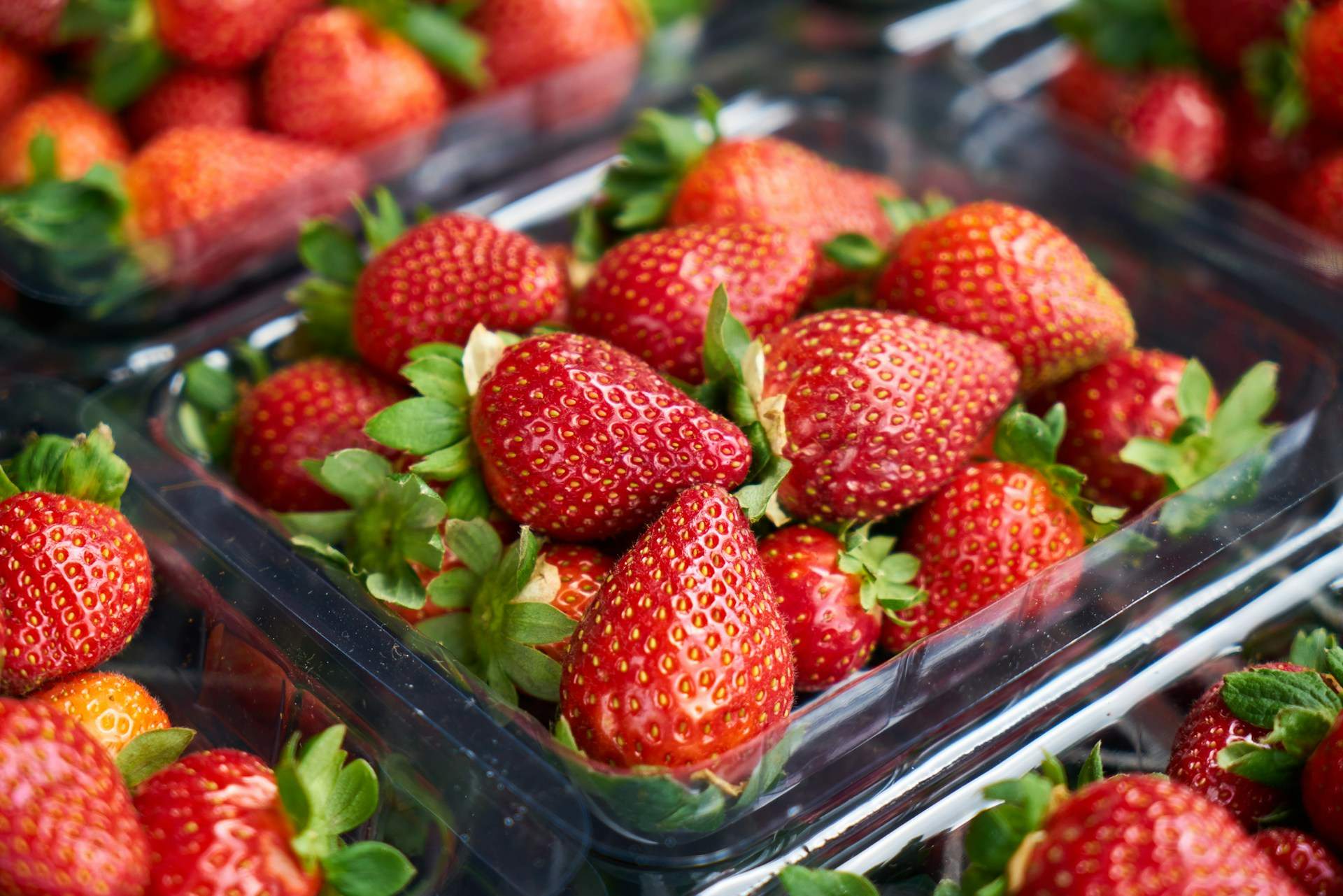 El truco científico para que las fresas aguanten muchos más días sin florecerse